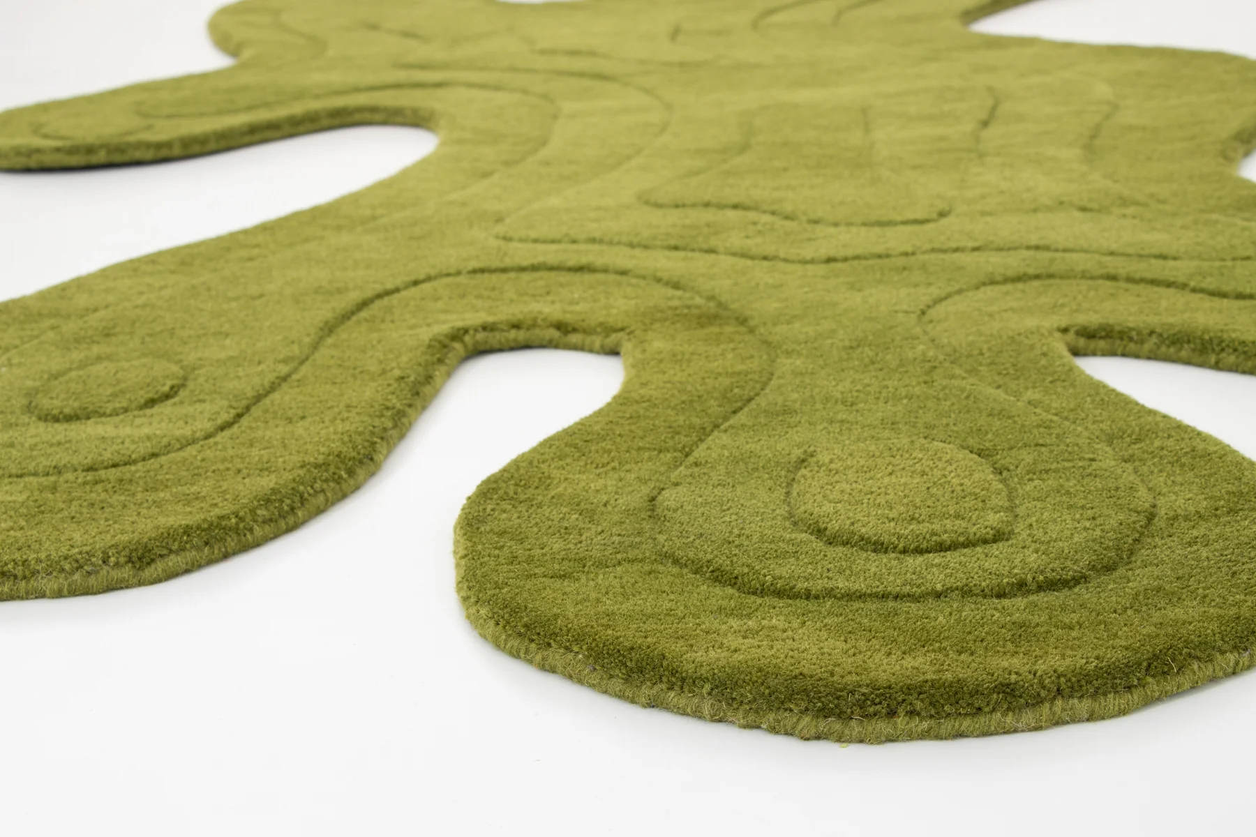 AMOEBA ALGAE - Image 3