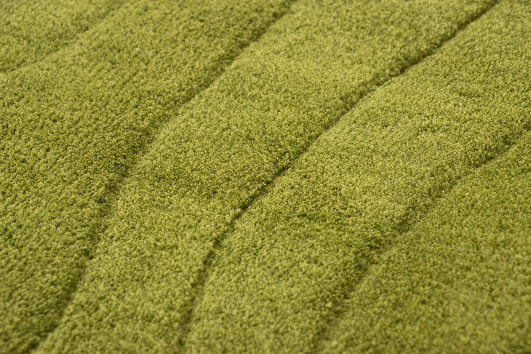 AMOEBA ALGAE - Image 6