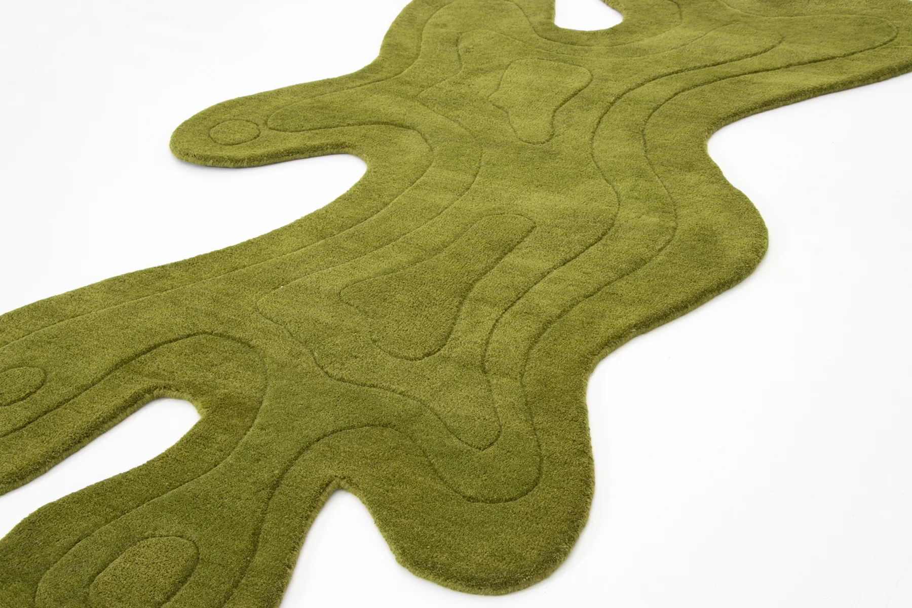 AMOEBA ALGAE - Image 9
