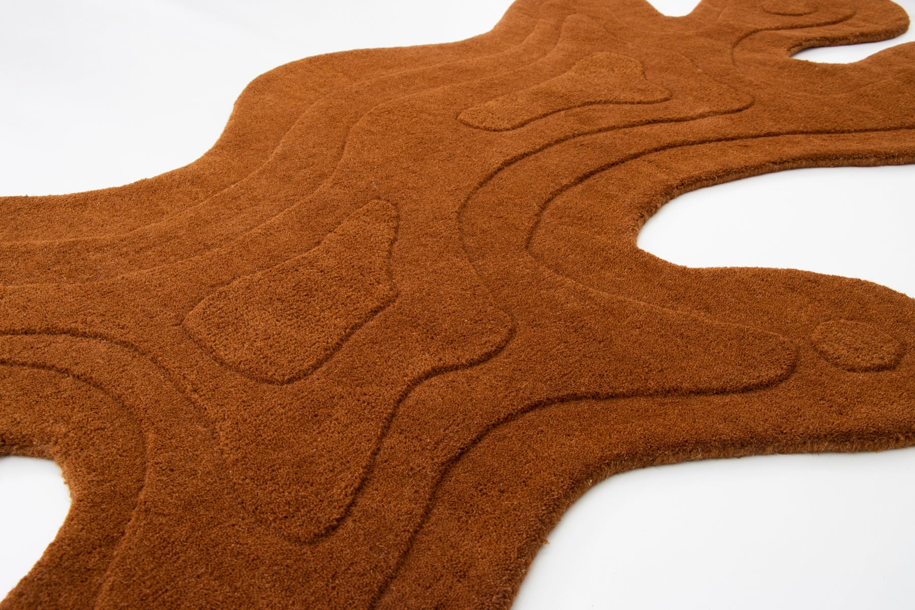 AMOEBA SPICE - Image 6