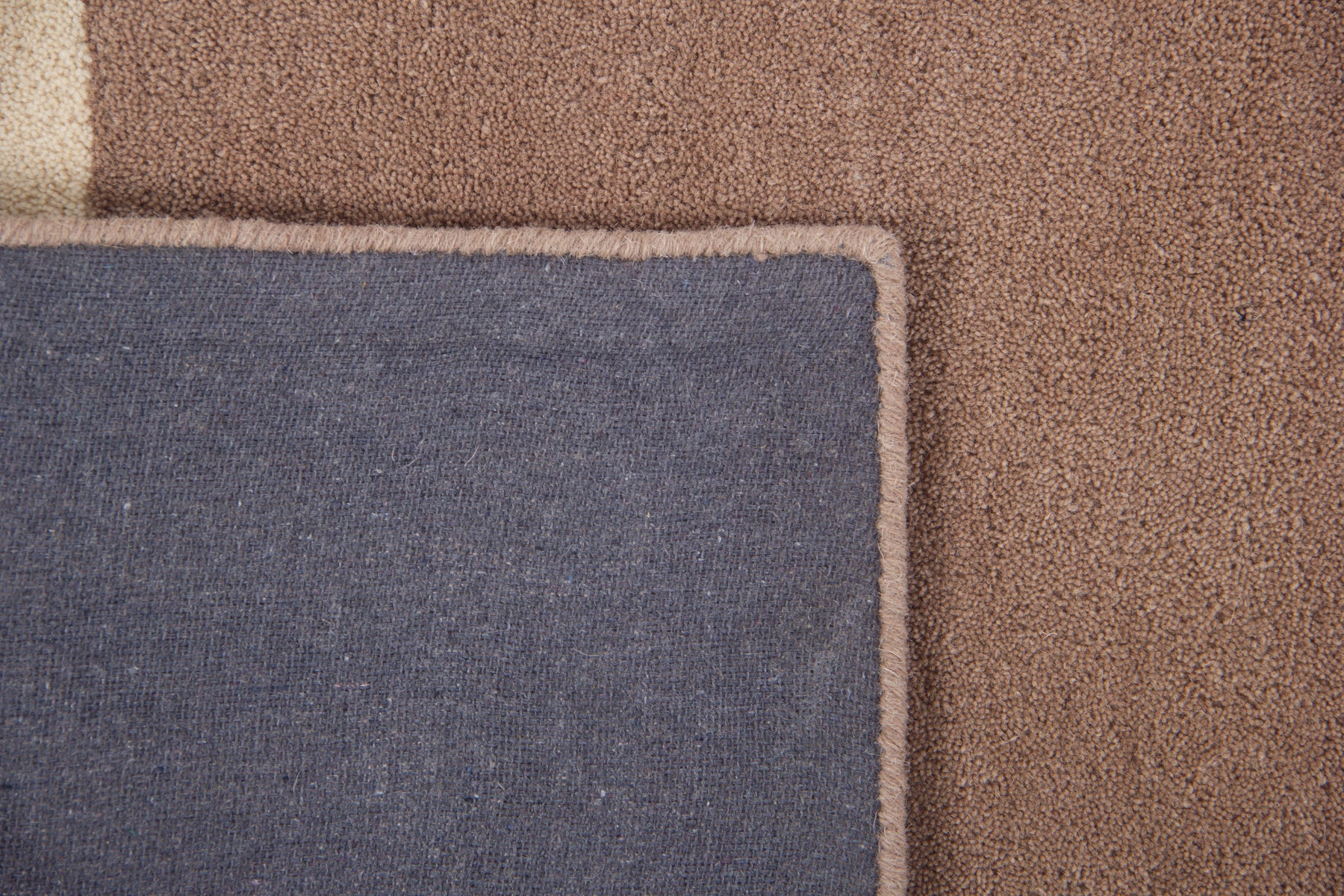 Border Camel - Image 6