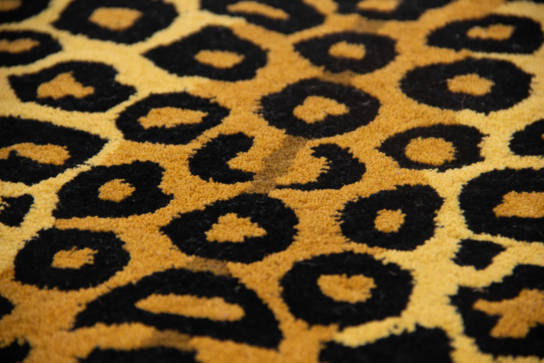 Classic Leopard - Image 4