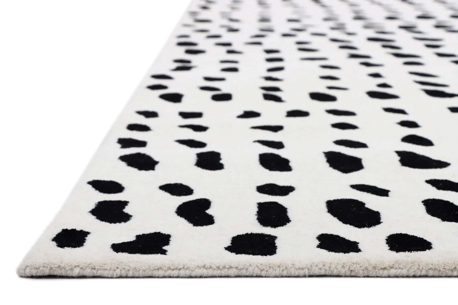 Dalmatian - Image 5