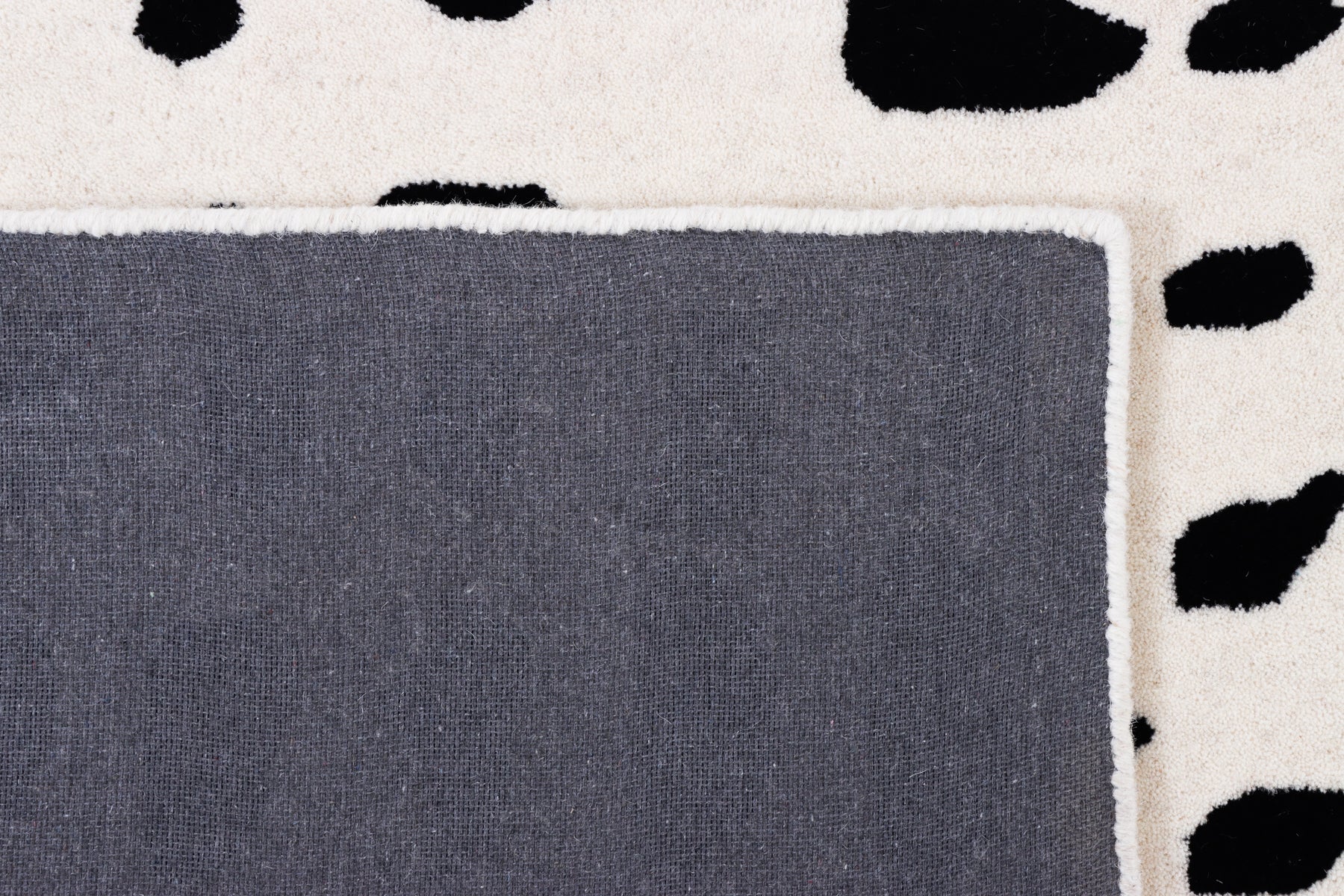 Dalmatian - Image 6
