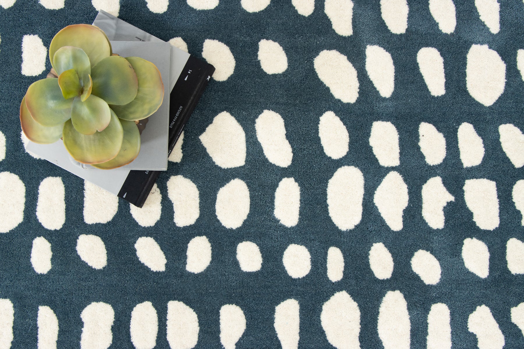 Dalmatian Blue - Image 5