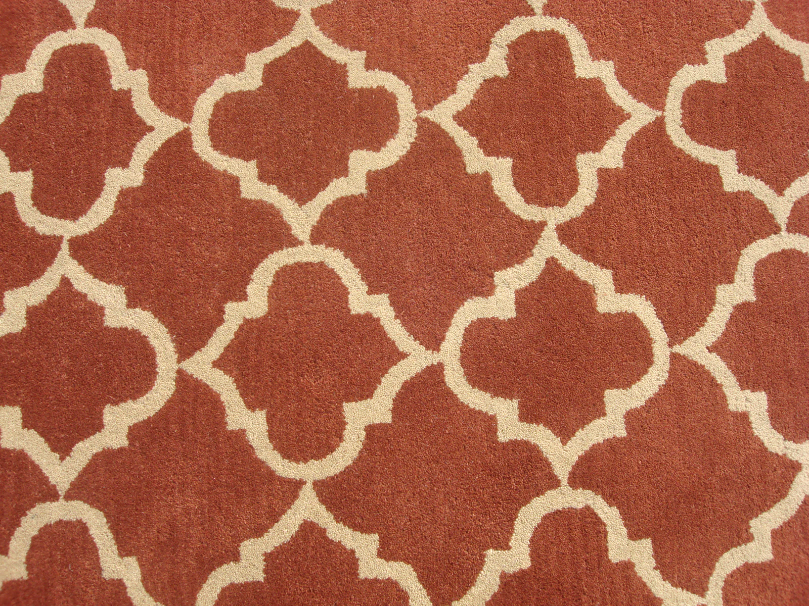 Isabela Terracotta - Image 7