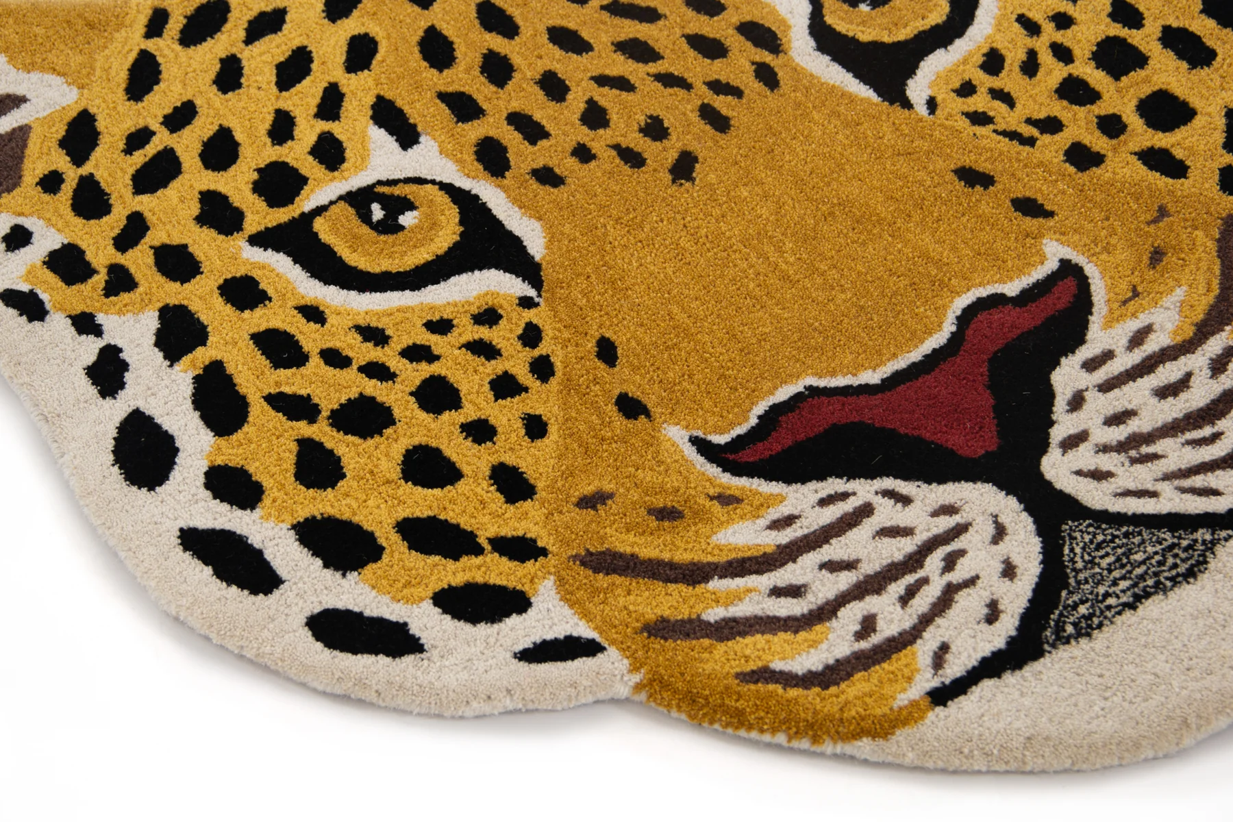 Leopard - Image 2