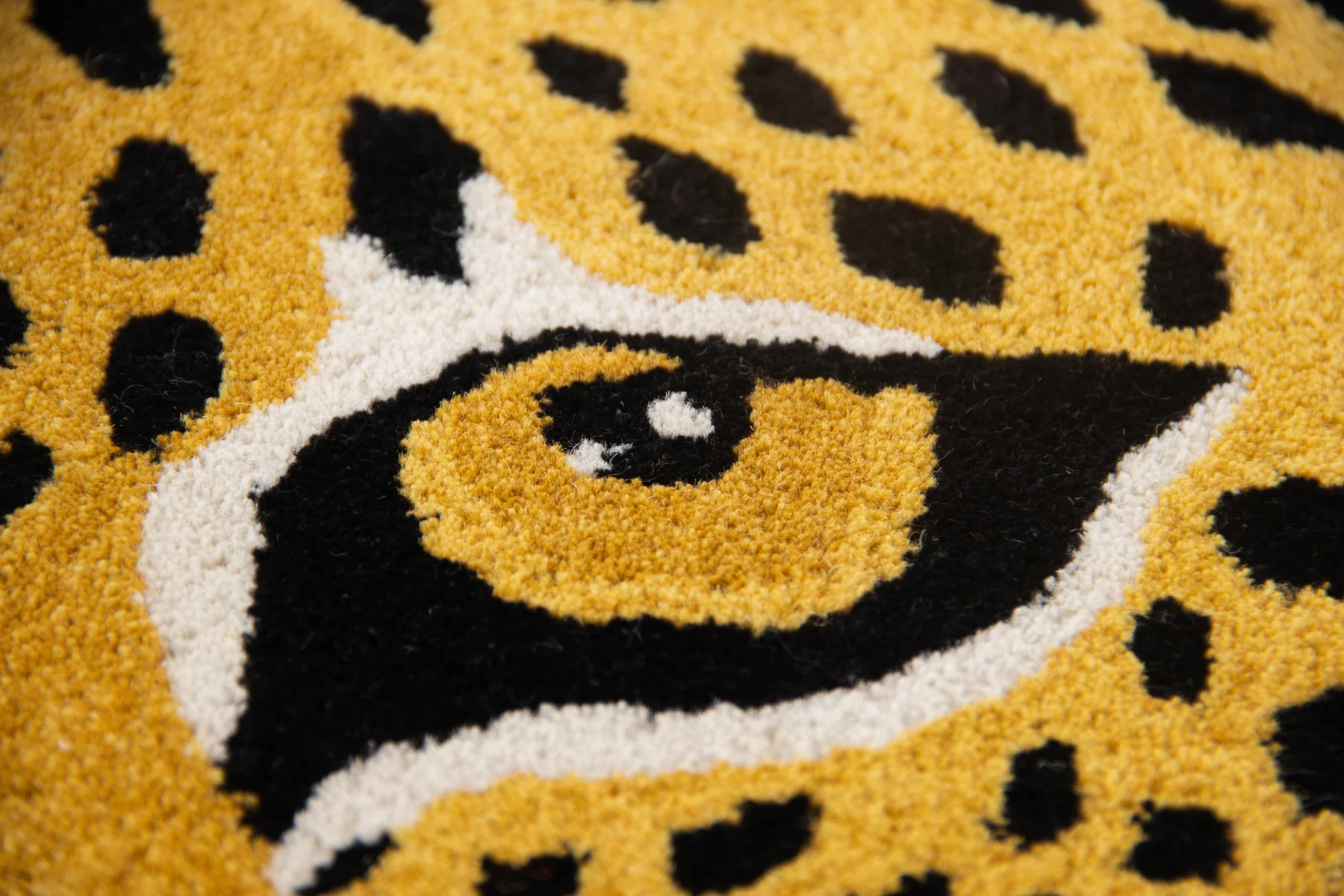 Leopard - Image 4