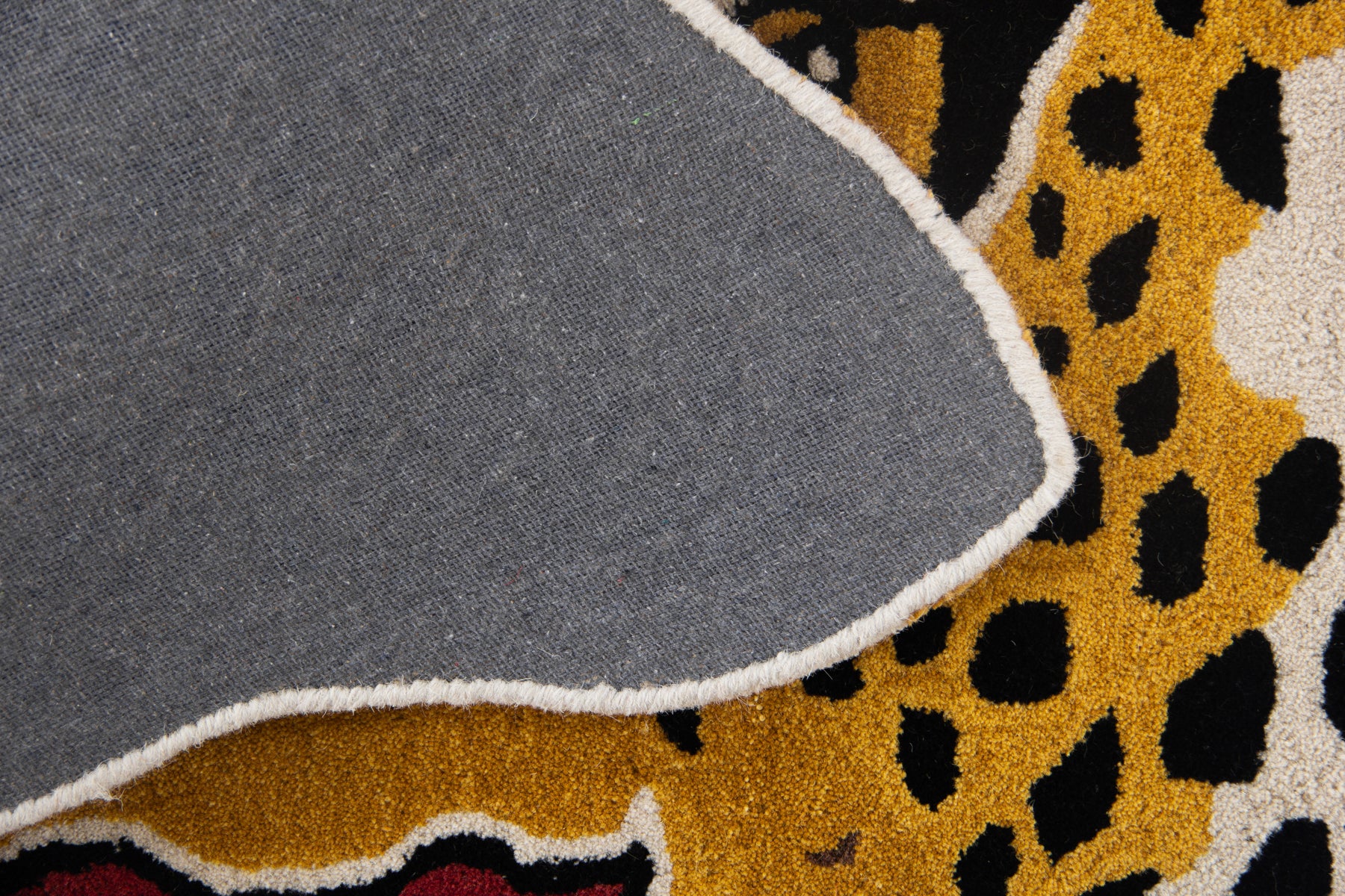 Leopard - Image 5