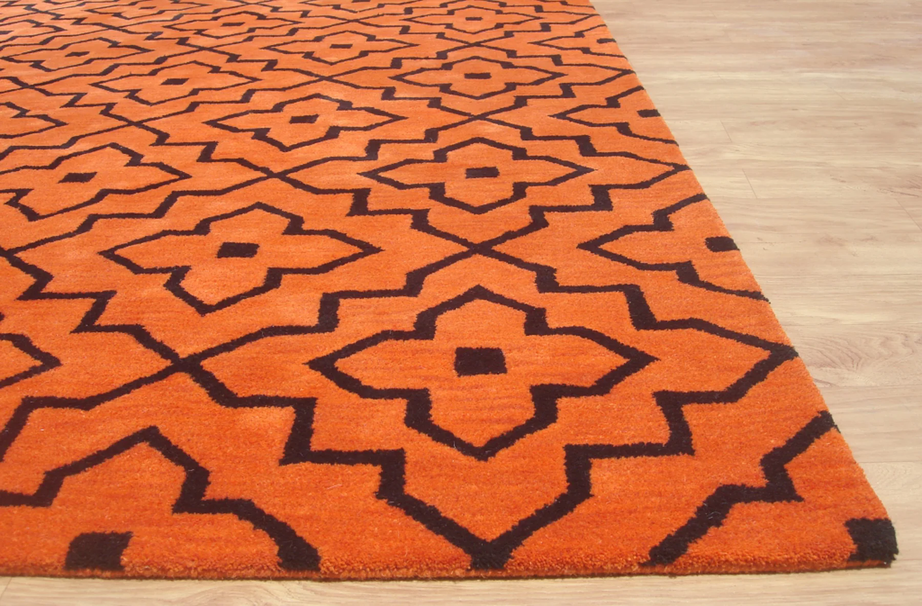 Lilly Orange - Image 5