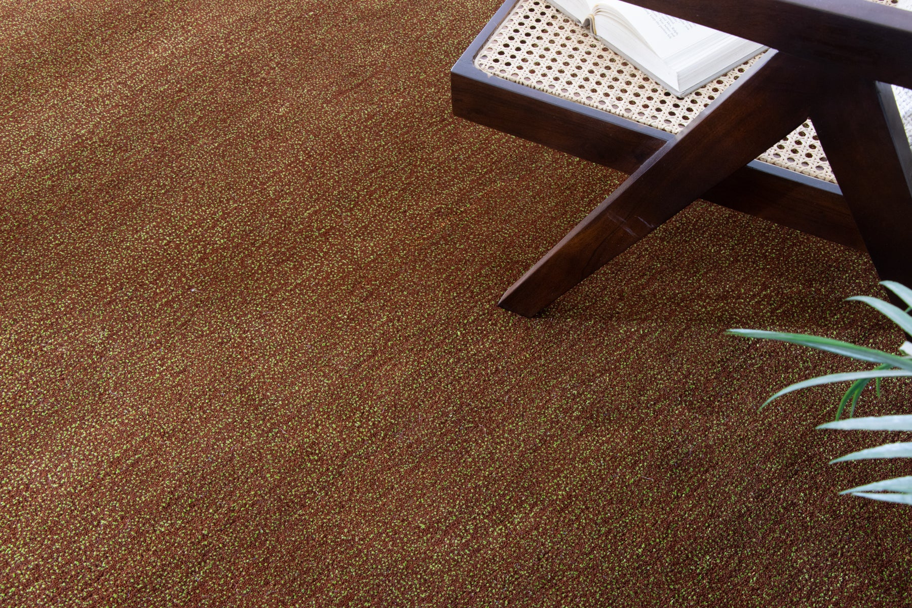 Mudgrass - Image 2