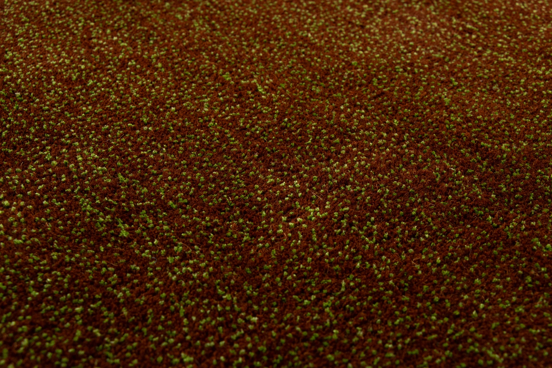 Mudgrass - Image 3