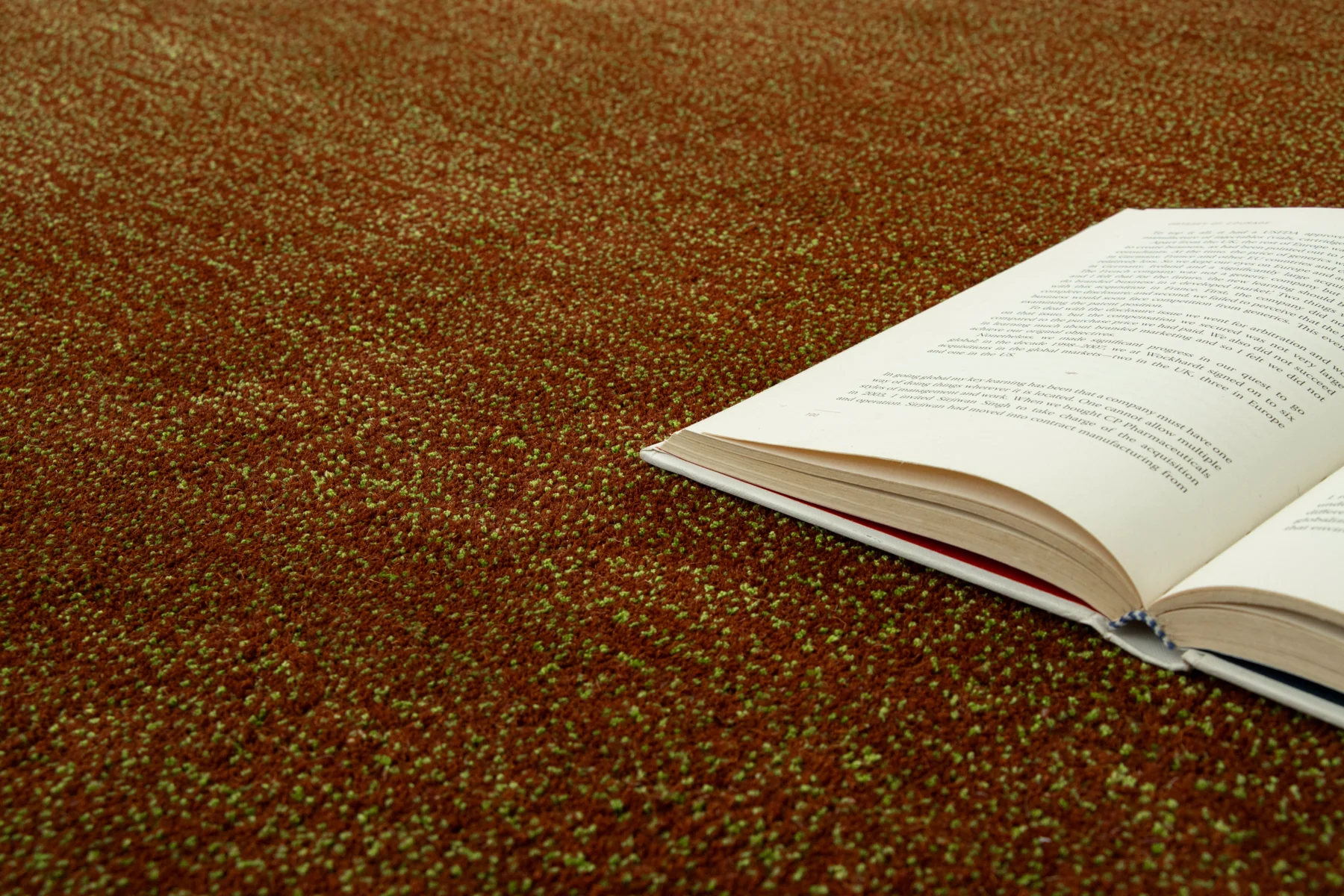 Mudgrass - Image 7