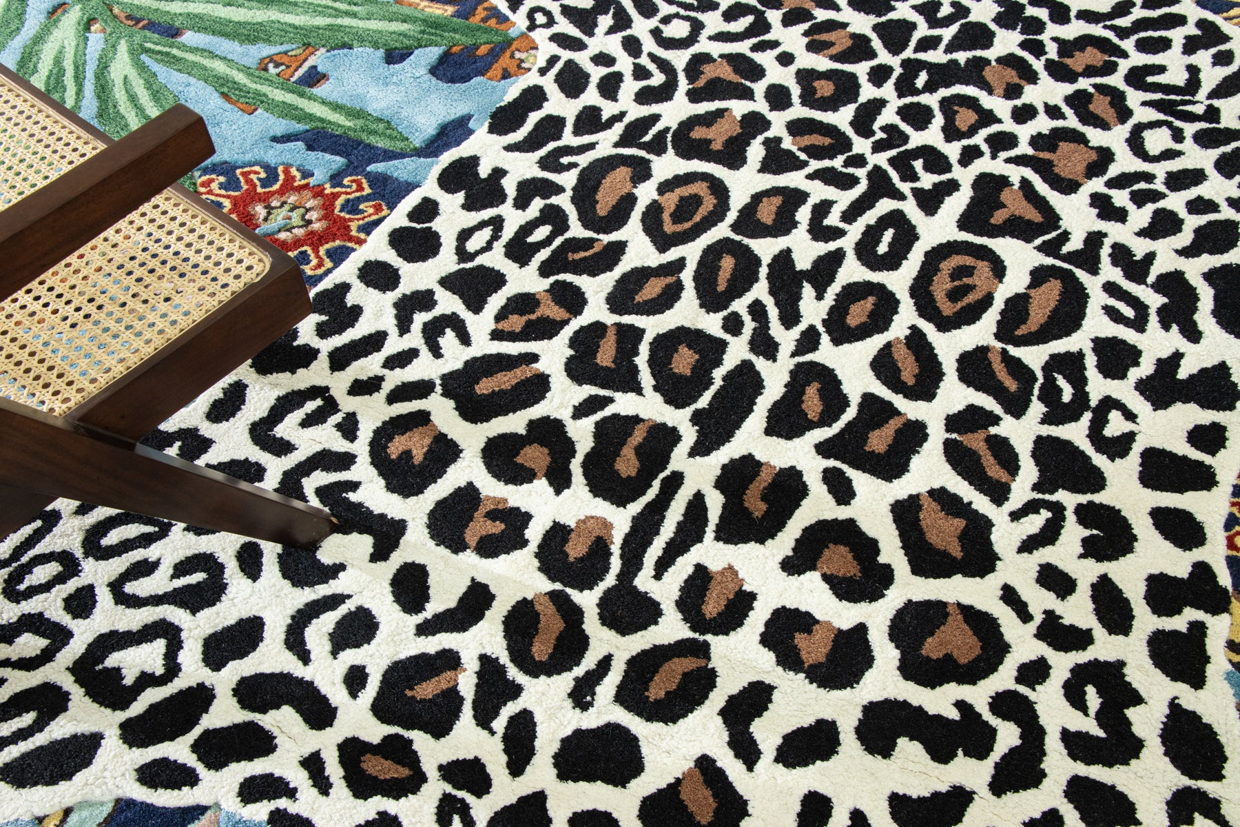 Resting Leopard - Image 4