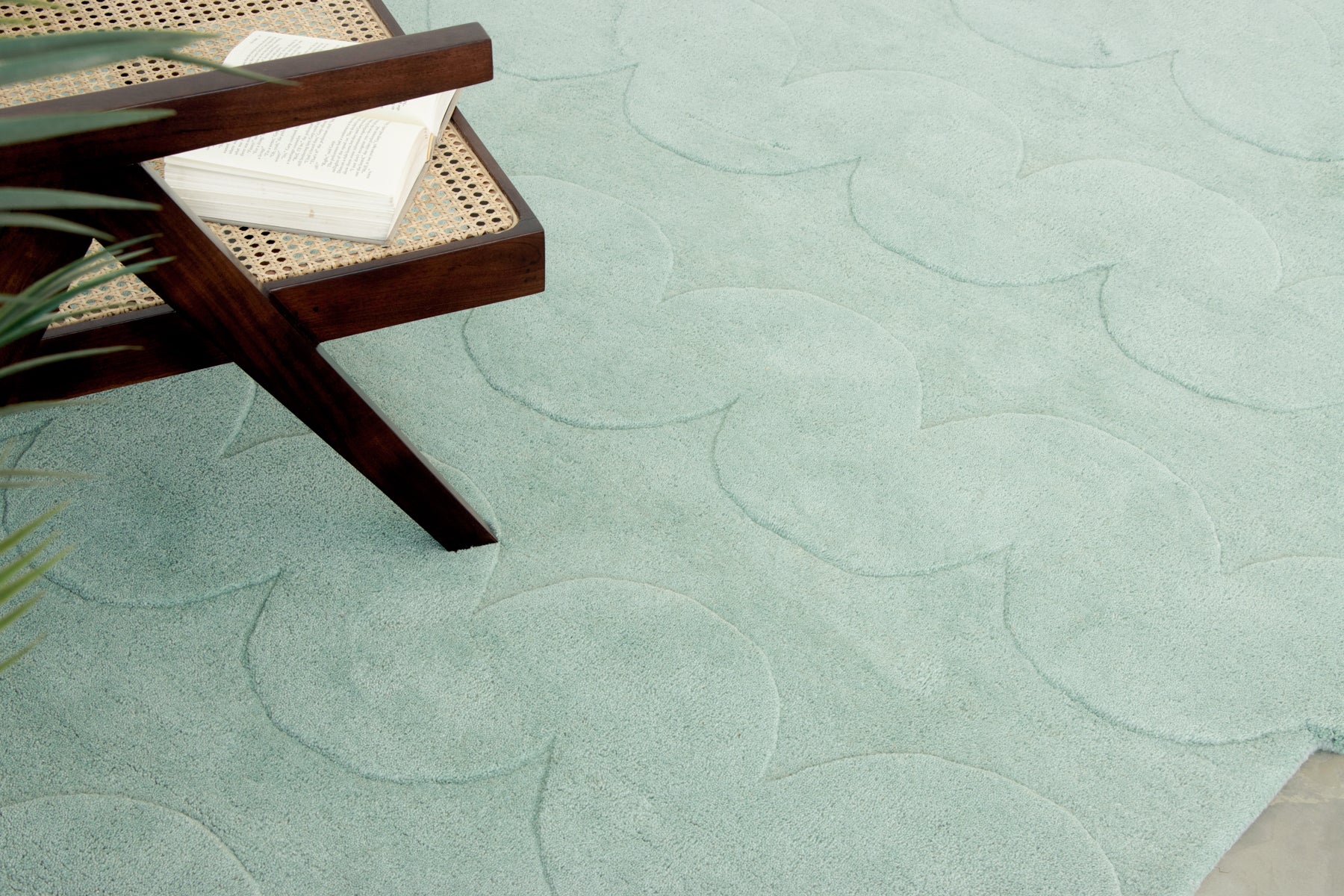 Scallora Sage Green - Image 6