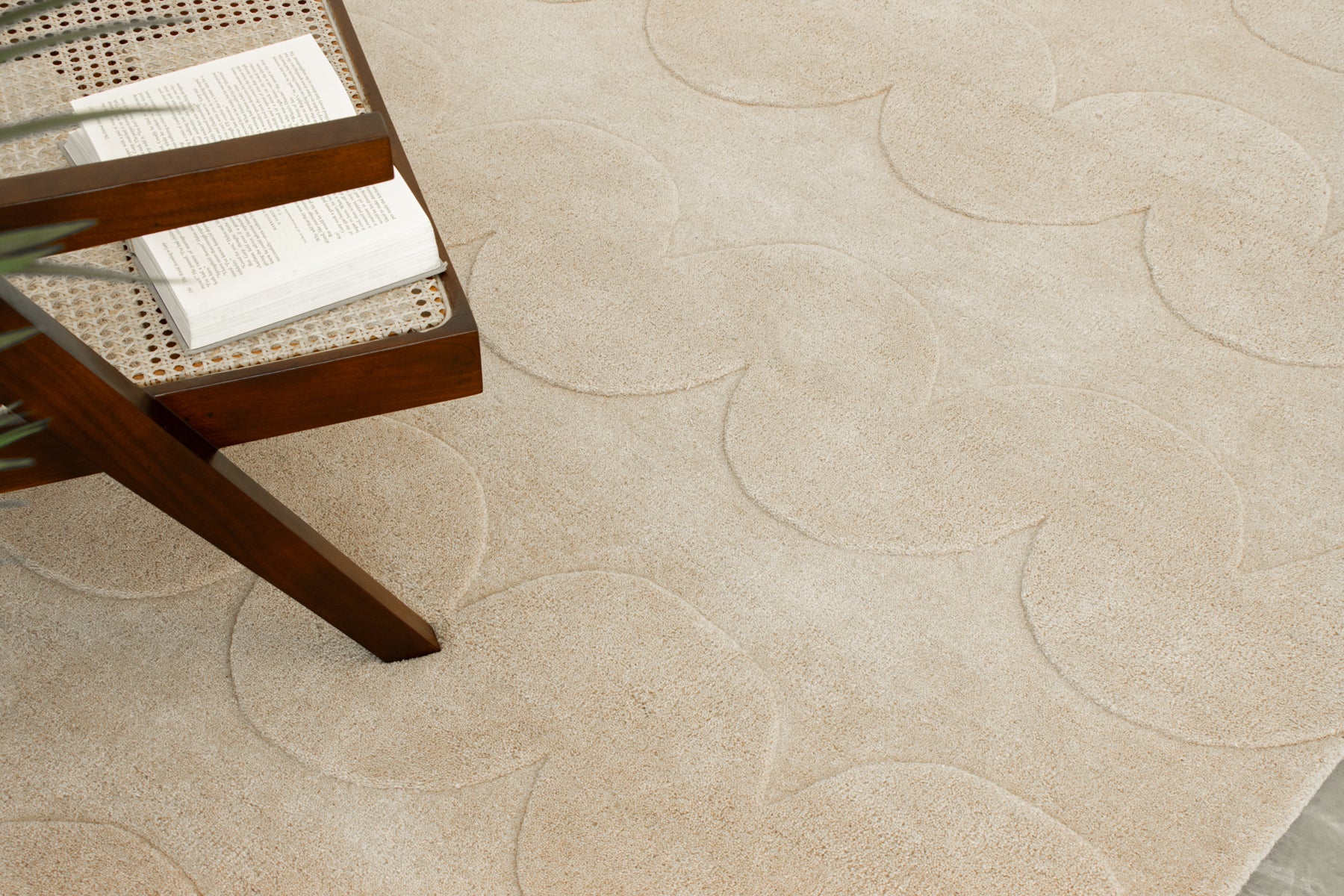 Scallora Sand - Image 5