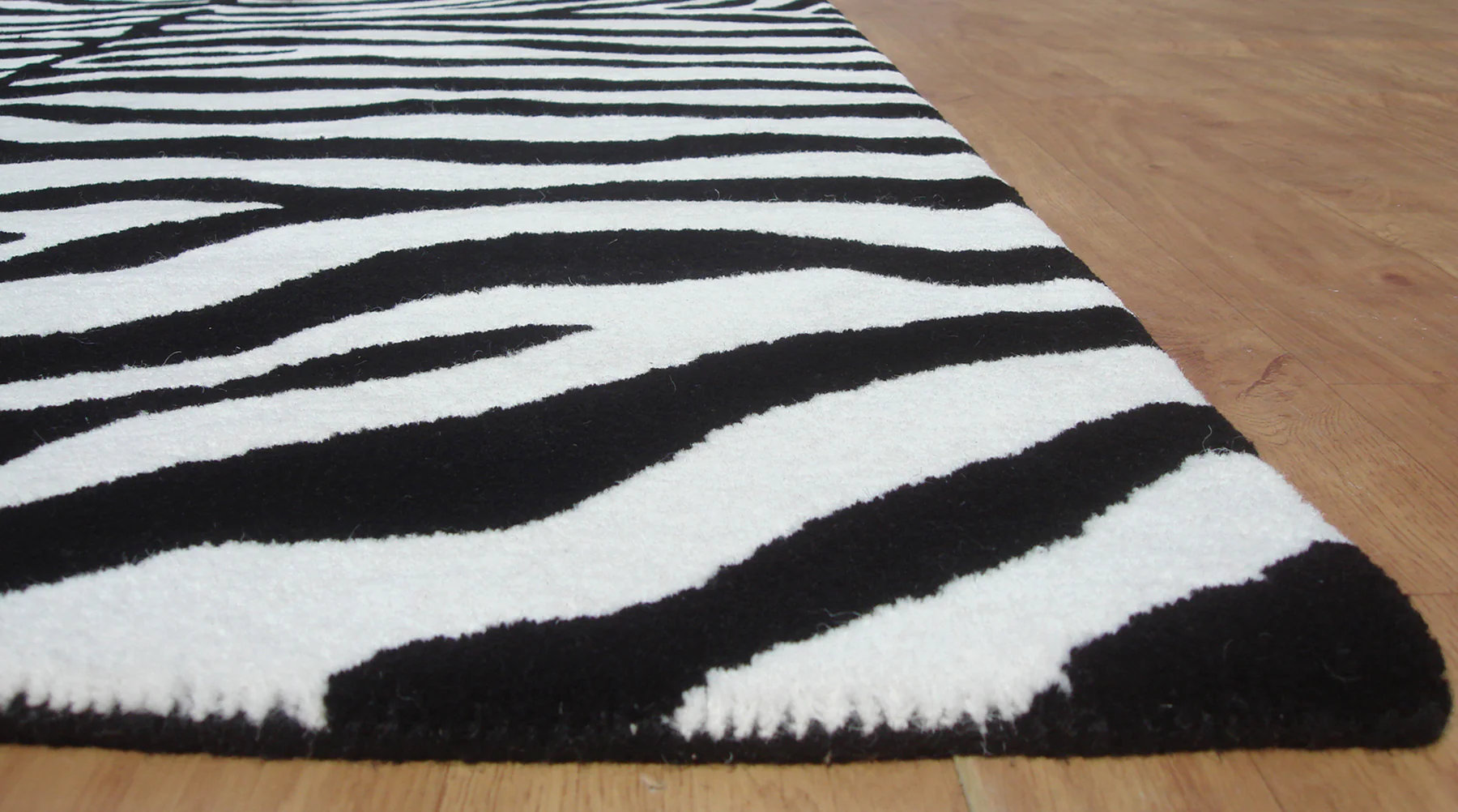 Zebra - Image 3