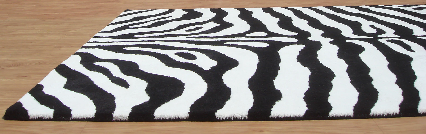 Zebra - Image 4