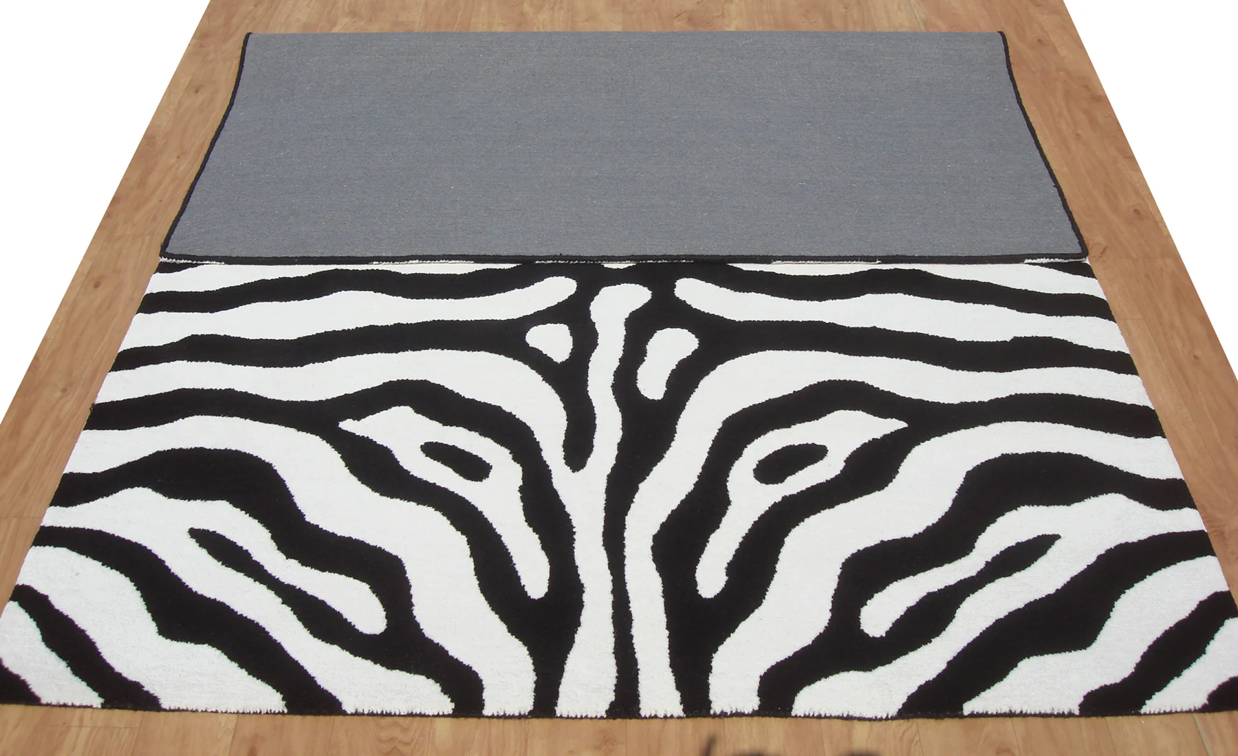 Zebra - Image 5