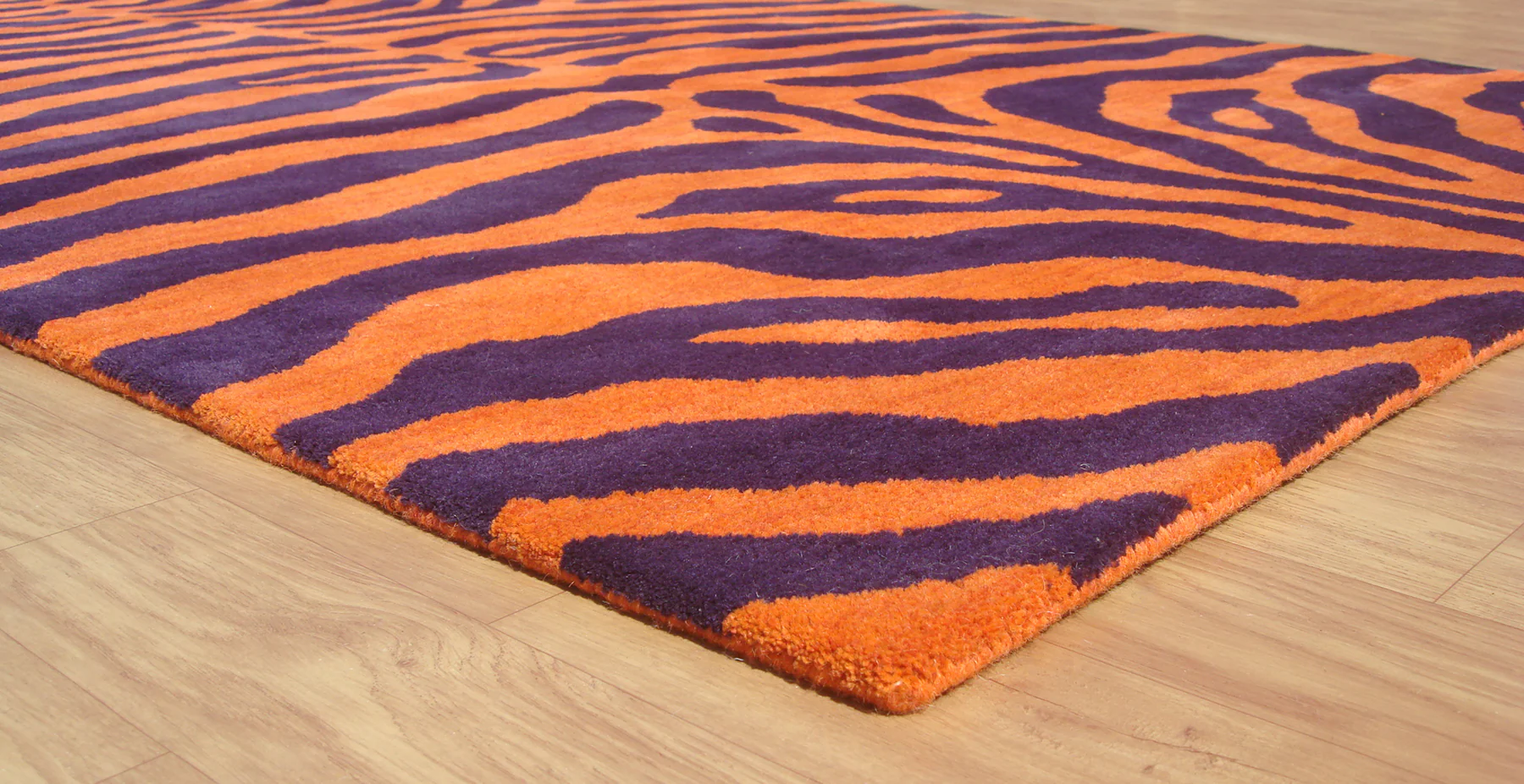 Zebra Orange - Image 3