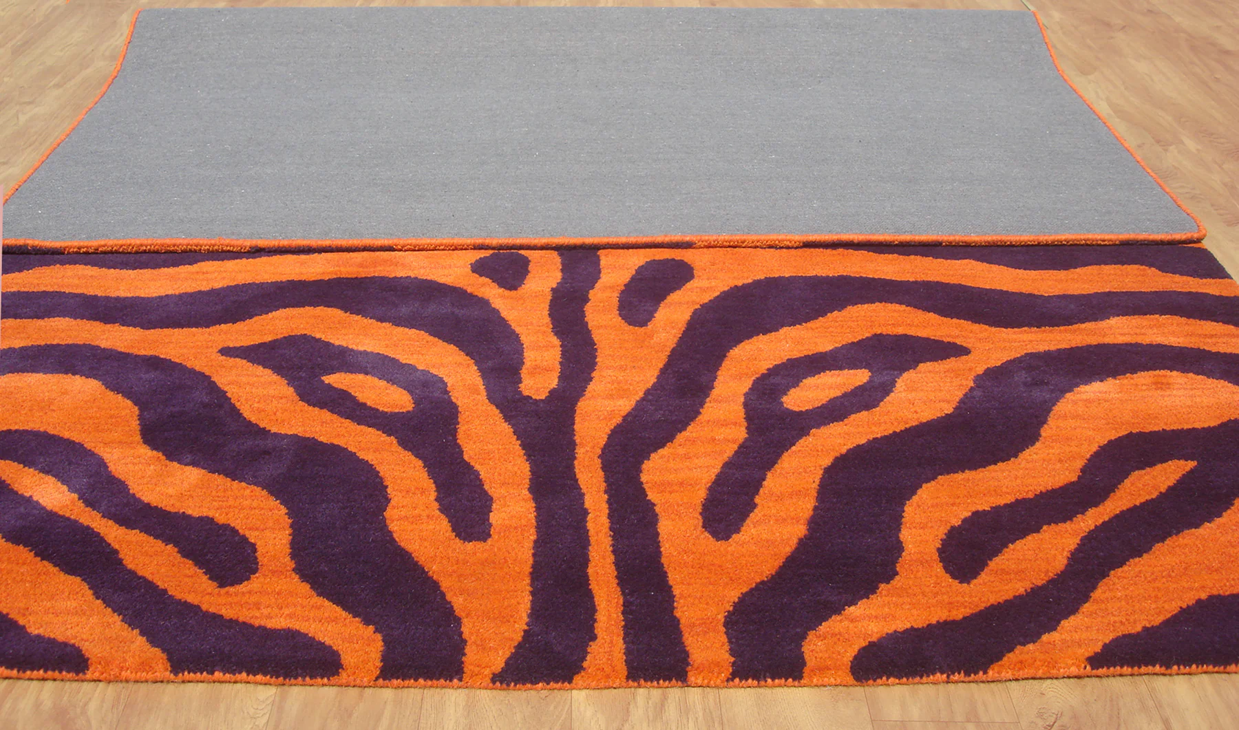 Zebra Orange - Image 4