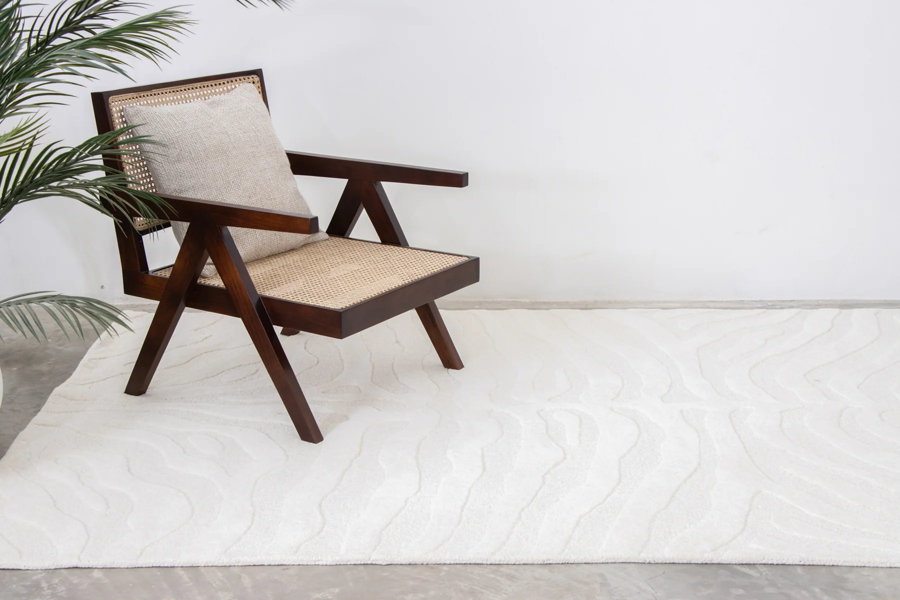 Zebra White - Image 3