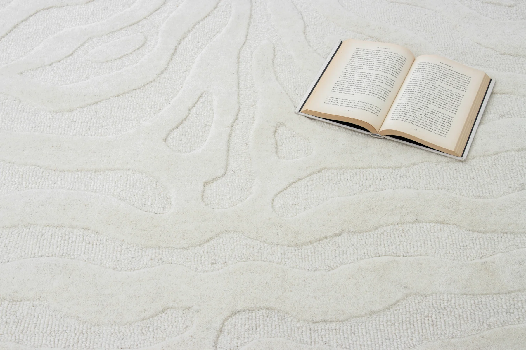 Zebra White - Image 8