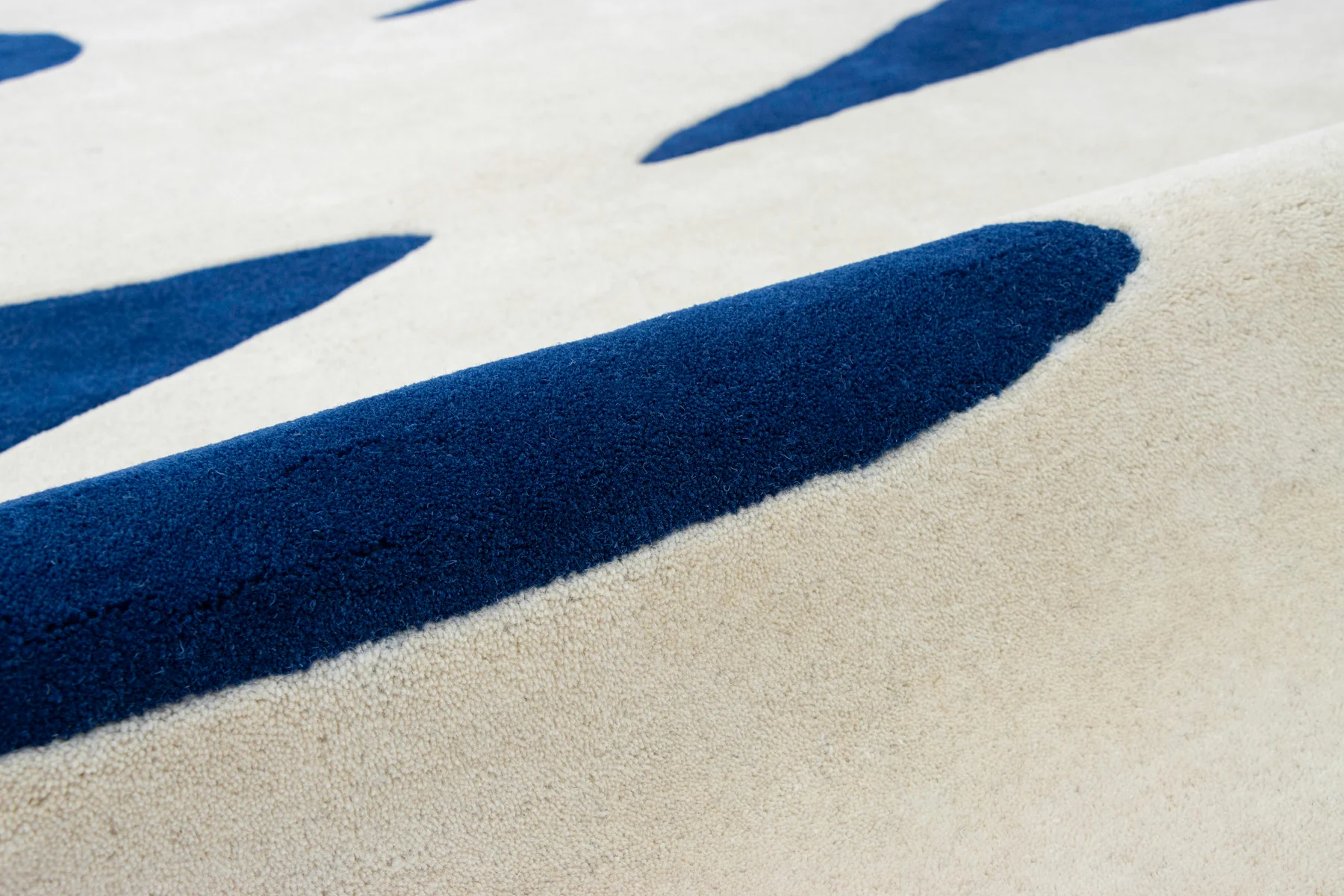 Zebro Blue - Image 10