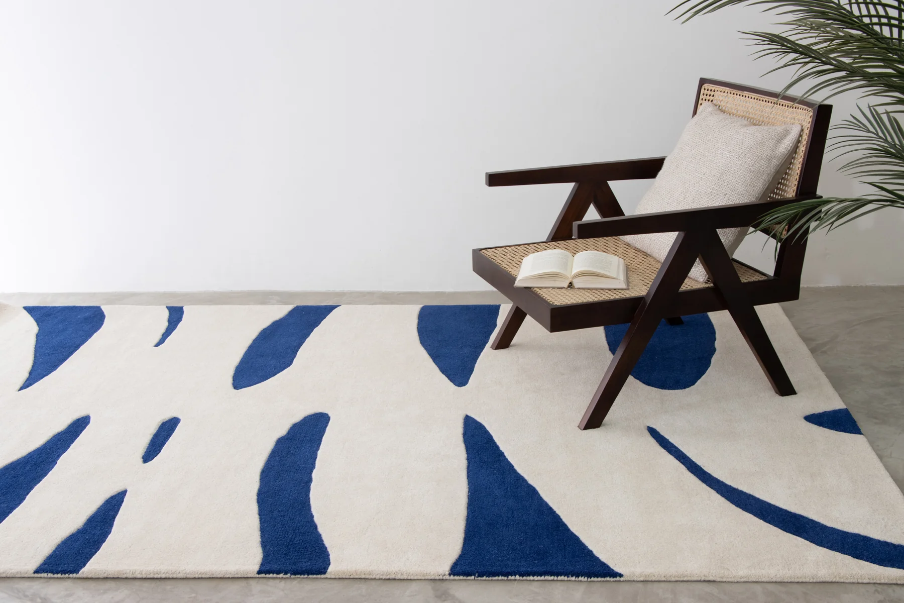 Zebro Blue - Image 3